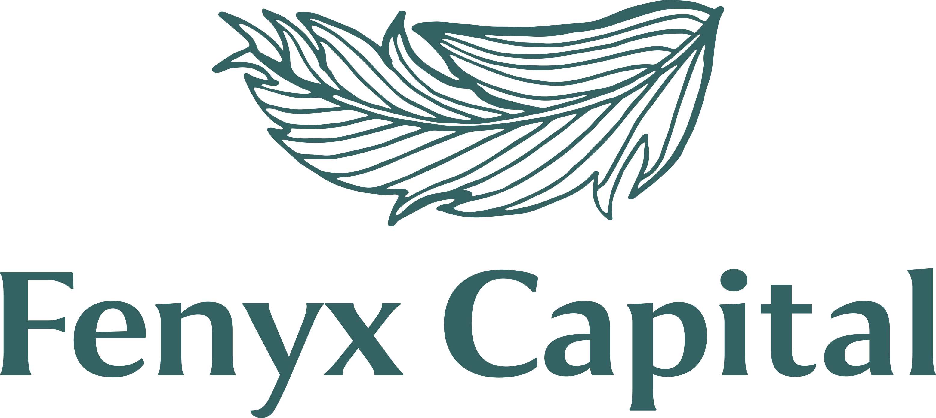 Fenyx Capital